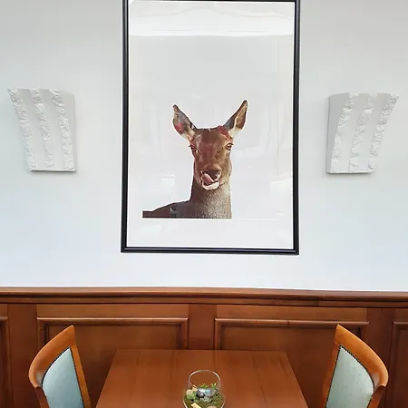 호텔 Opera 소포트