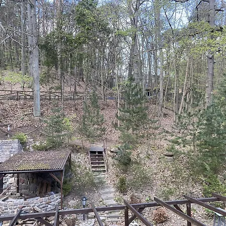 호텔 Opera 소포트