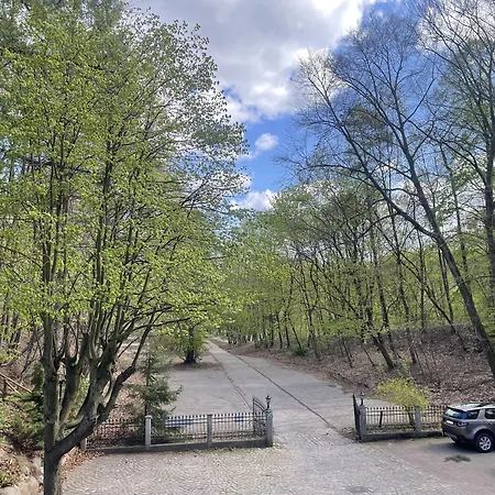 Opera 호텔 소포트